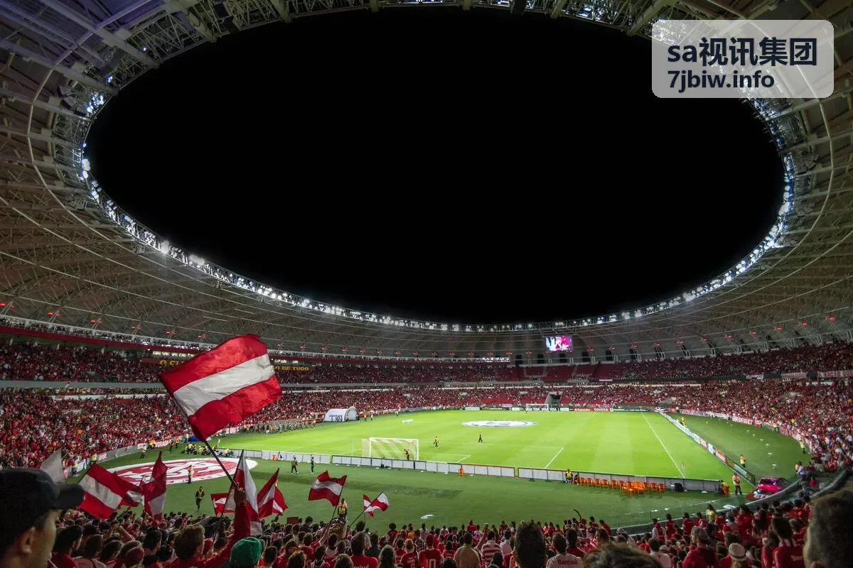 sa视讯集团 暗夜追风 悬疑剧集封面
